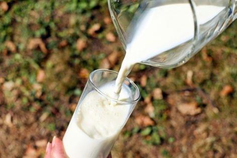 Even by drinking a glass of milk a day, we can do a lot for our health