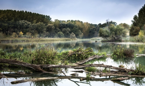 AM: habitat reconstruction works of the WinterIng Danube have been completed