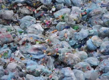 Nőtt a háztartási csomagolóanyag-hulladék aránya Németországban