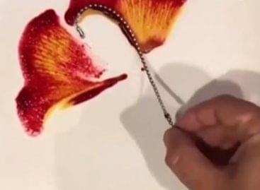 Virágszirmok a tányéron – A nap videója