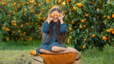 Tetra Pak: A RAUCH növényi alapú csomagolásban forgalmazza Happy Day gyümölcsleveit 2021 őszétől