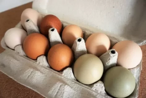 Nő a tojások ára a madárinfluenza és a háború miatt