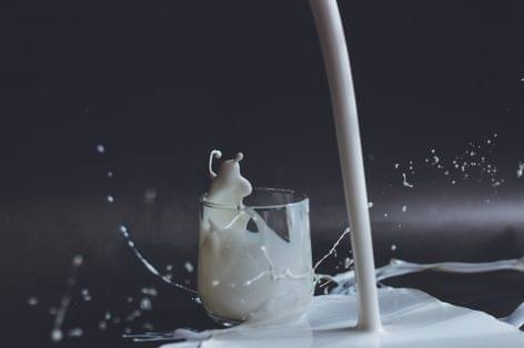 Petition For EU to Include Plant-Based Milk in School Meals Gains 35,000 Signatures
