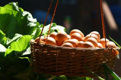 A belfasti Clarke’s Spar 18 év felettiekre korlátozza a tojásvásárlást