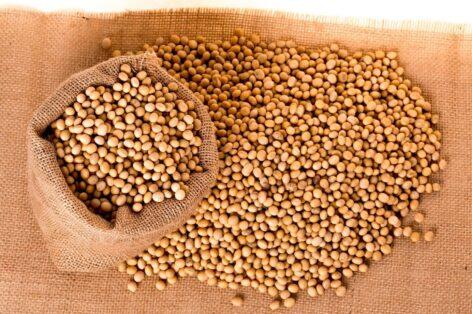 This decision affects the entire soybean market