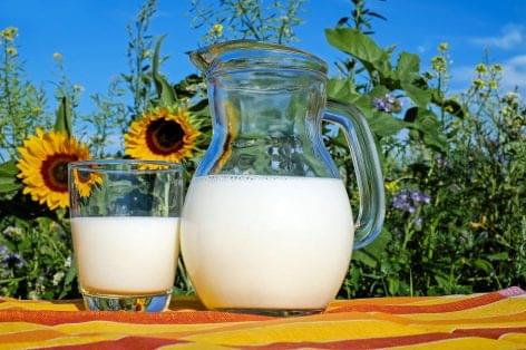World Milk Day is the success of the dairy sector in Hungary today