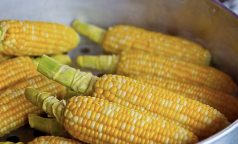 The situation of Hungarian corn is getting worse and worse