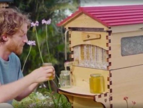 Csapoljatok egy korsó mézet! – A nap videója