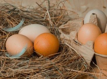 Egg prices near record high: European shortage caused by bird flu drives up prices
