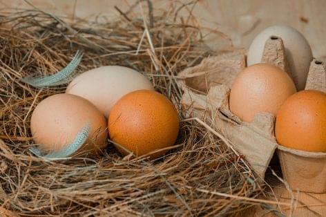 A Morrisons elsőként kínál karbonsemleges tojást az Egyesült Királyságban