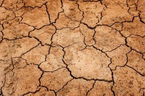 Experts: the number of severe drought years in Hungary may continue to increase until the end of the century