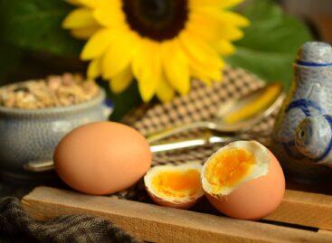 The supply of eggs will be plentiful, according to professional organizations