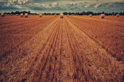 Agrárminisztérium: befejezéshez közelednek a nyári aratási munkák