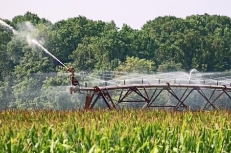 Irrigation will become more and more necessary