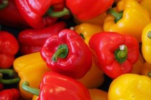 Price pressure and oversupply in the global bell pepper market