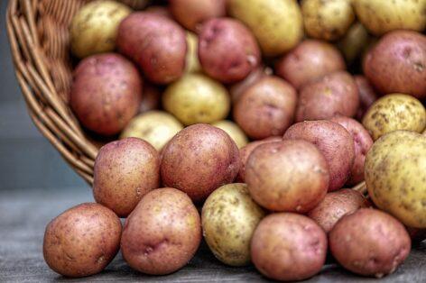 Hungarian potato production has declined significantly