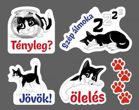 Matricás promócióval szólítja meg a macskabarátokat a Purina Magyarország