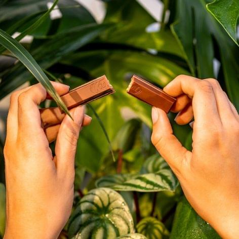 From now on, vegan KITKAT will also be available as a permanent product