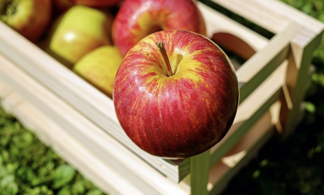 There is a big problem with Hungarian apples, we need to prepare for a serious shortage