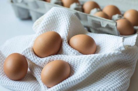 Brutális drágulás! Tíz forinttal emelnék a tojás árát szeptembertől a termelők