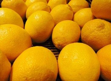 Fodder fruit sold as a premium: double quality in Romania, reputational risk in the region