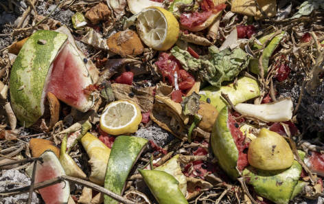 153 million tons of food are thrown away in the European Union every year