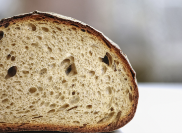 According to the Hungarian Bakers’ Association, bread continues to become more expensive