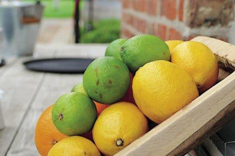 A citrusok nem vegánok? Alternatívát keres a Tesco