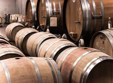 A new package of measures was created to help the work of the wine industry