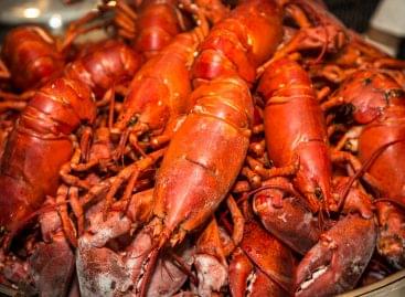 The lobster comes from Canada for the traditional dinner