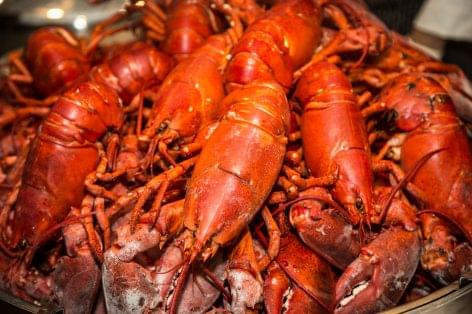 Kanadából érkezik a homár a trandícionális vacsorára