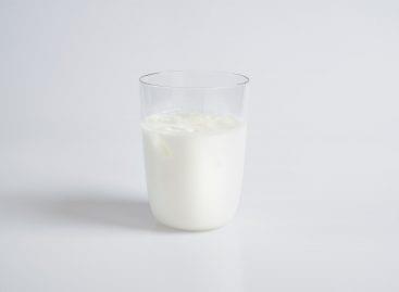 Diverzifikált tejporkínálattal küzd az infláció ellen az Agus Afrikában