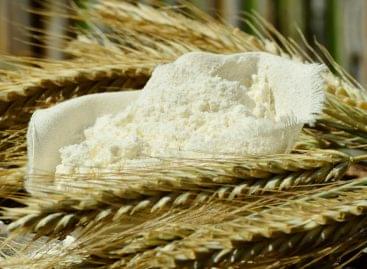 Hazánk és Dunaföldvár az európai gabona-biofinomítás epicentrumává vált az elmúlt 10 évben