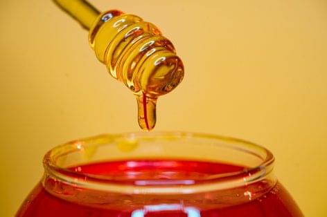 World’s First Plant-Based Honey To Launch In Europe Next January