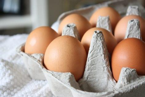 Soaring egg prices force French food industry to change recipes
