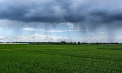 Agrometeorology: several waves of soaking rain are coming