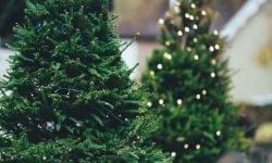Companies exporting holiday decorations could have achieved a profit of up to 17% this year – if they had hedged their currency risk at the beginning of the year