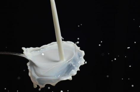 Nébih found contamination in the products of a dairy plant