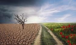 Európa kétszer gyorsabban melegszik, mint a világ, miközben a világ is kétszer gyorsabban melegszik, mint két évtizede