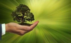 Talajmegújító mezőgazdasági képzést indít a Nestlé és a Sustainable Business Academy fiatal gazdáknak