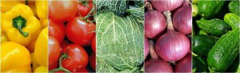 Az élelmiszerbiztonság a talajnál, a növénynél, a növényi terméknél kezdődik