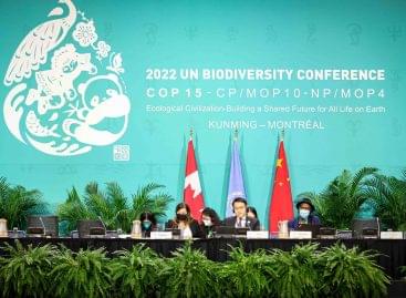 The agreement was reached at the UN Biodiversity Summit