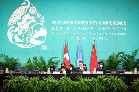 Megszületett a megállapodás az ENSZ biodiverzitás csúcstalálkozón