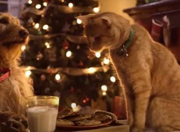 This Christmas commercial will make everyone laugh, it’s so sweet