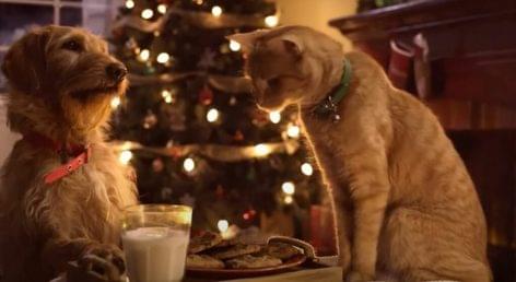 This Christmas commercial will make everyone laugh, it’s so sweet