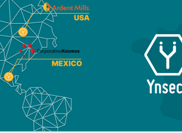 A rovaralapú hozzávalókat gyártó Ynsect Észak-Amerikában terjeszkedik