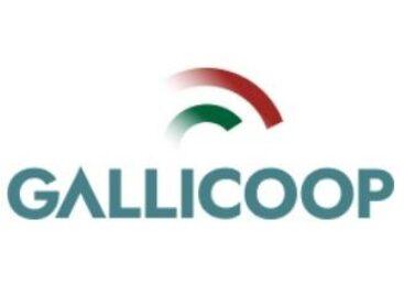 Mészáros Group’s next step in the poultry industry: full control over Gallicoop