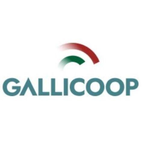 Mészáros Group’s next step in the poultry industry: full control over Gallicoop