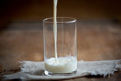 Nébih: Így csökkenthető a mikotoxin szennyezés kockázata a tej- és tejtermékekben