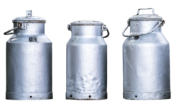 The producer price of raw milk increased, the export price fell significantly in one year